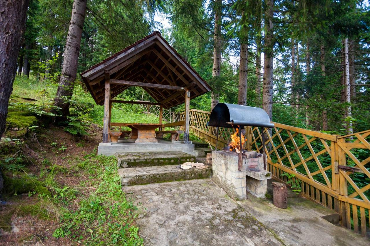 Альпина Hotell Jaremtje Exteriör bild